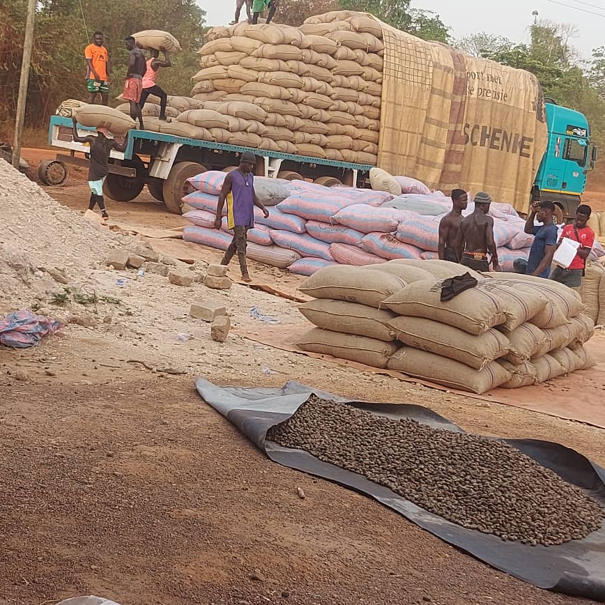 Cashew export