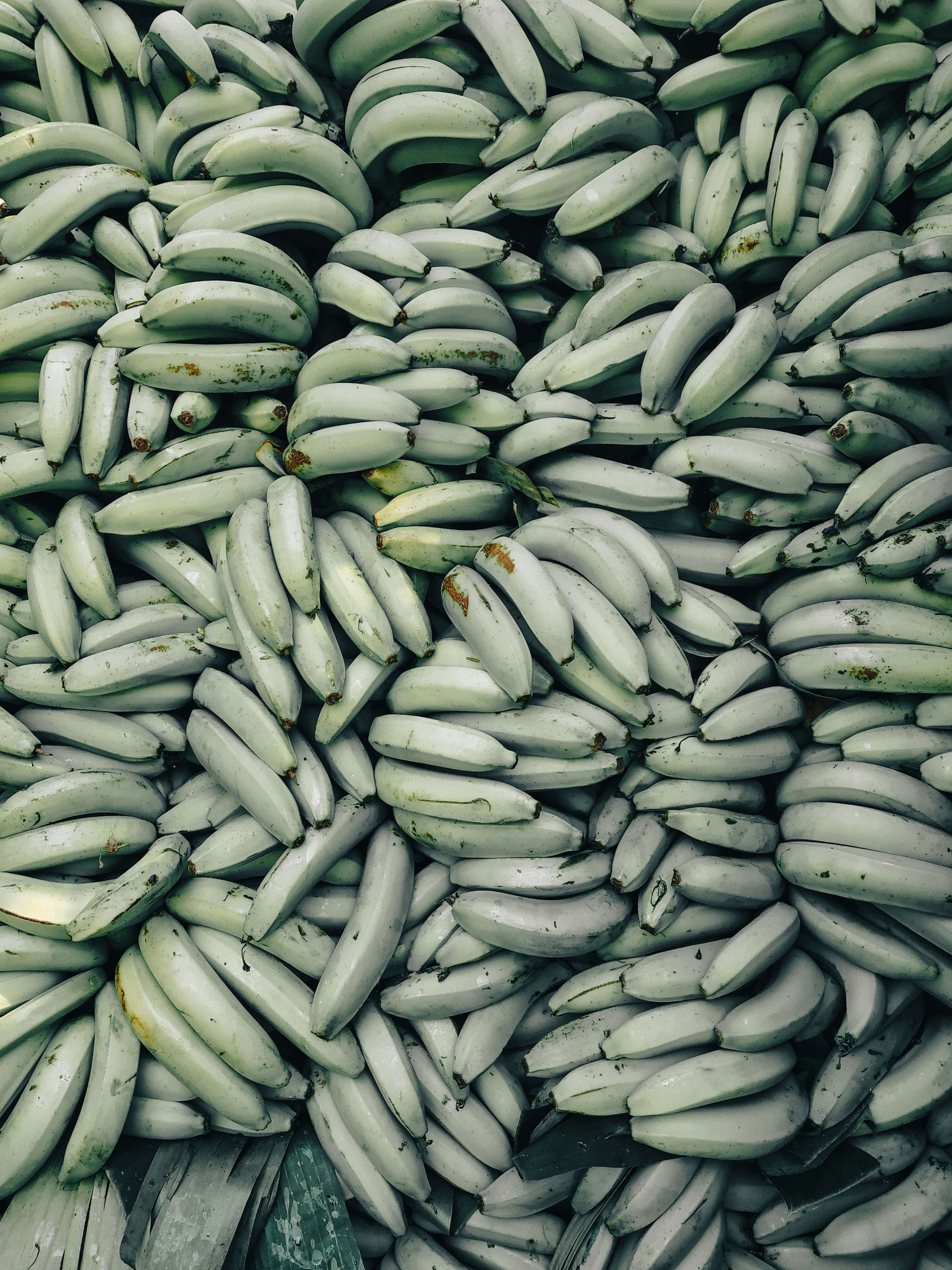 Plantain